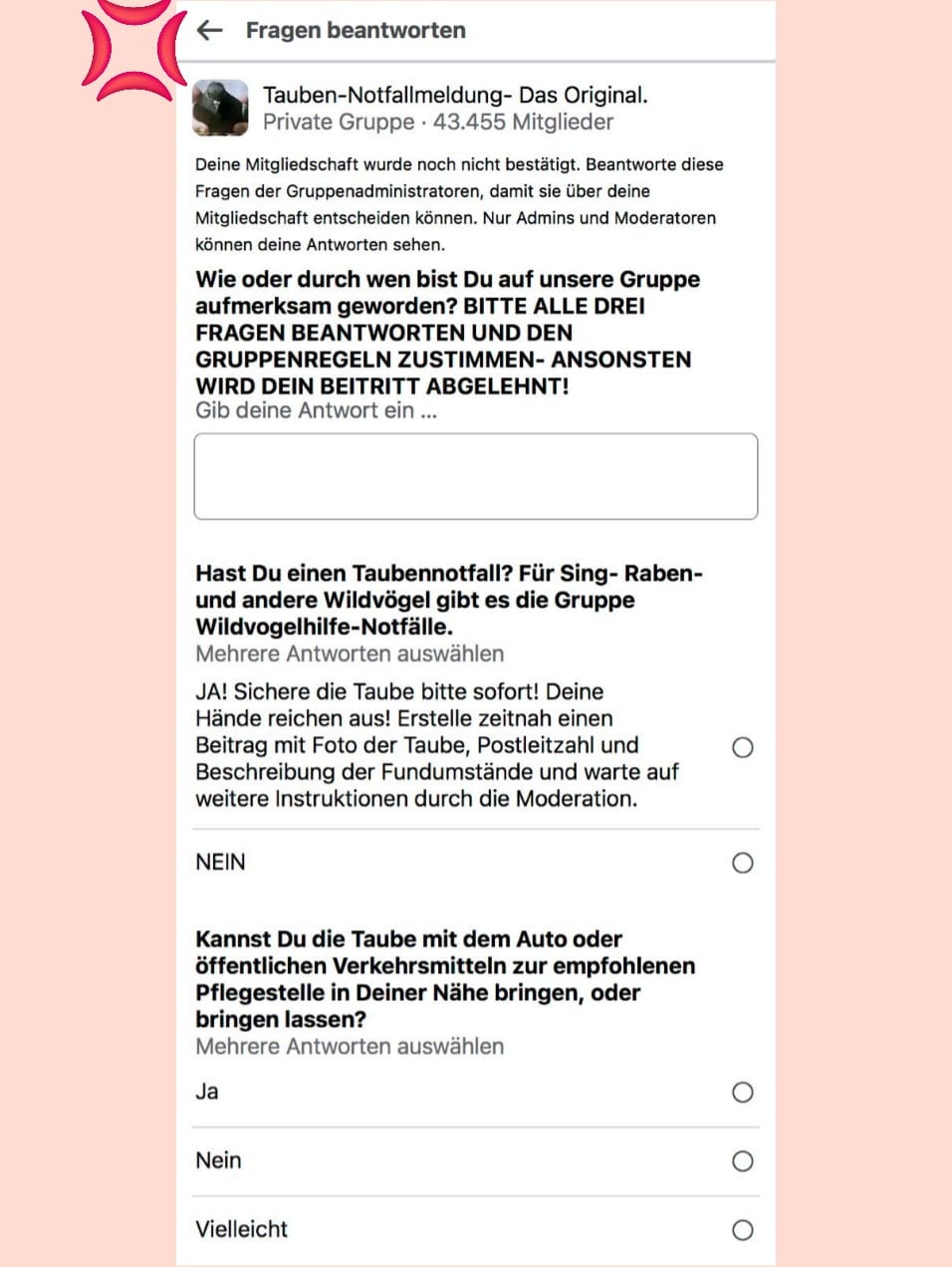 Die drei Fragen beantworten
