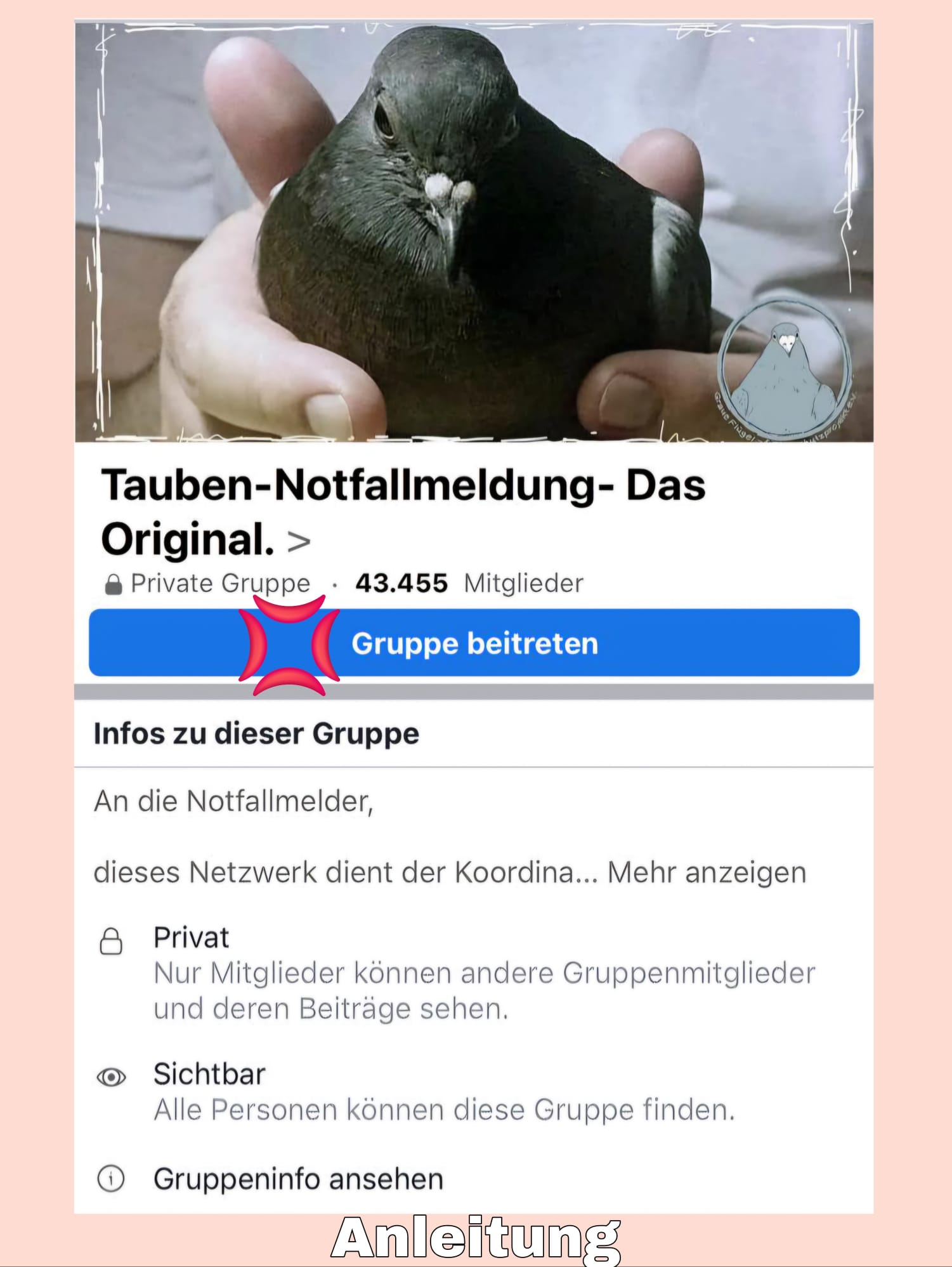 Nach der Freigabe bist du in der Gruppe