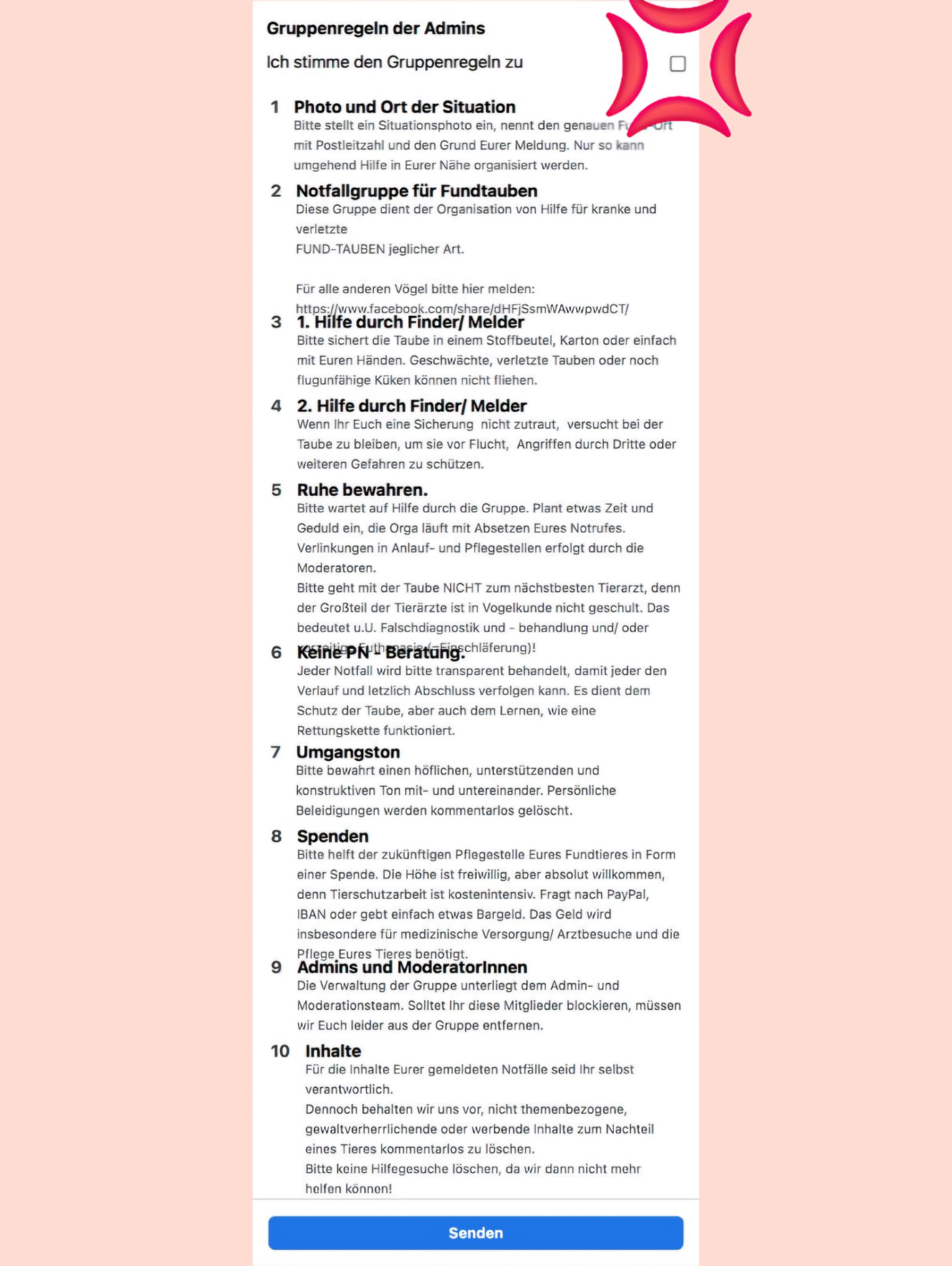 Regeln zustimmen und absenden